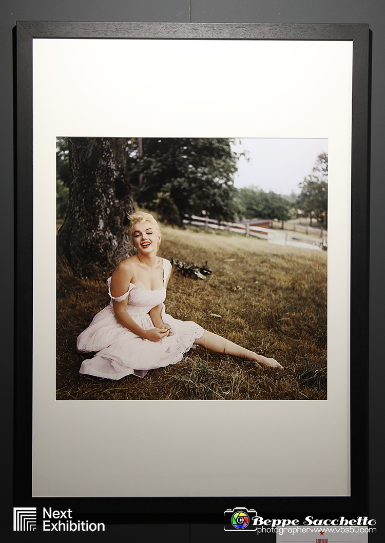 VBS_6940 - Mostra Forever Marilyn by Sam Shaw.jpg